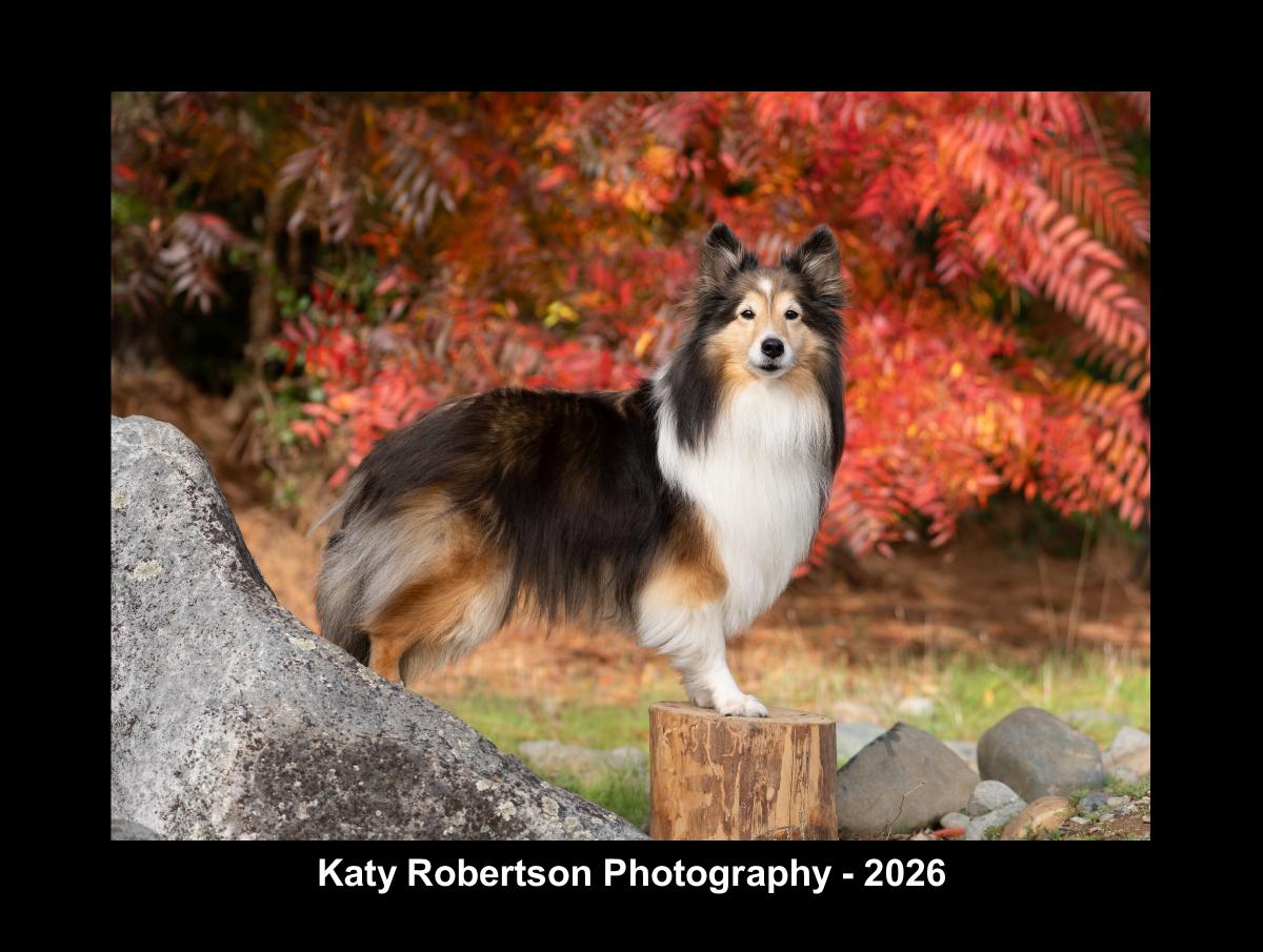 Katy Robertson 2026 Calendar