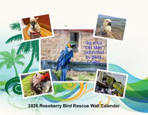 2026 Roseberry Bird Rescue Wall Calendar