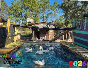 Alyssa's Animal Sanctuary 2026 Calendar