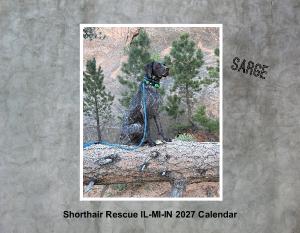 Shorthair Rescue 2027 Calendar