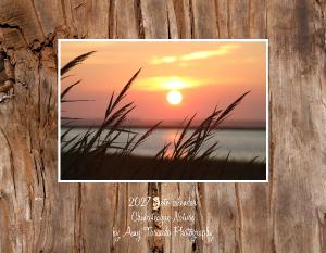 Chincoteague Island Nature by Amy Taracido