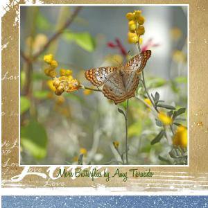 2027 wall calendar 12