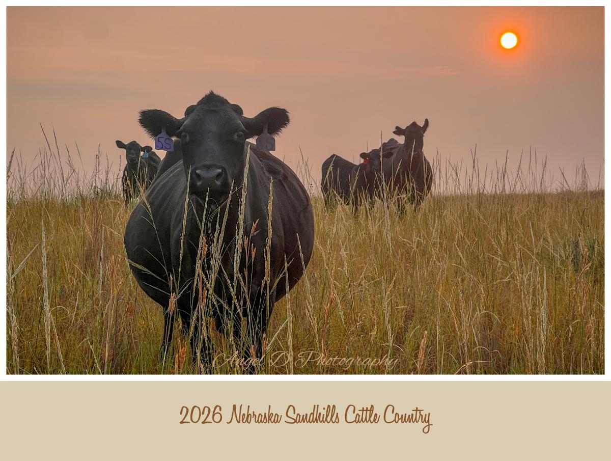 2026 Nebraska Sandhills Cattle Country