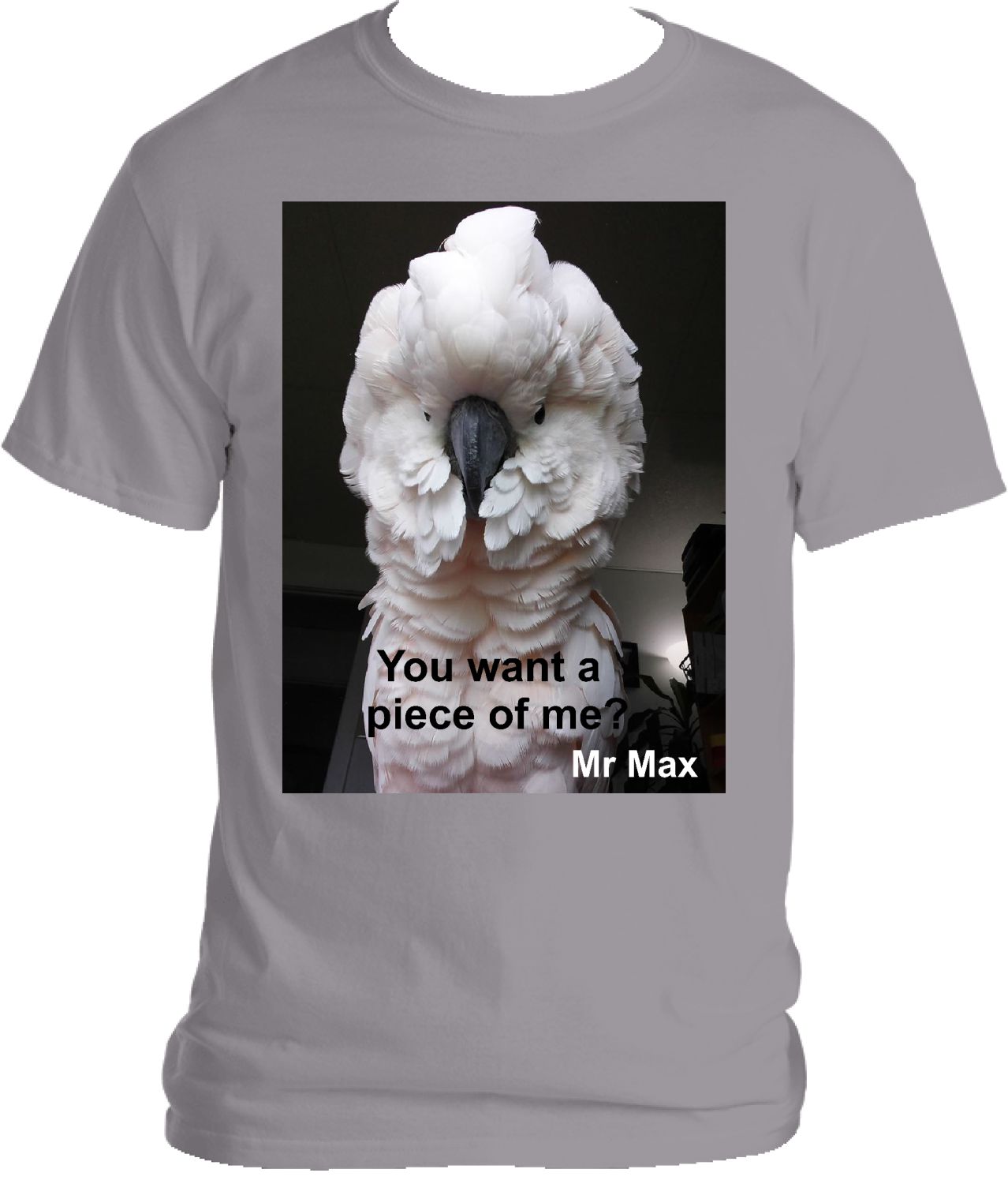 Mr Max - You want a piece of me