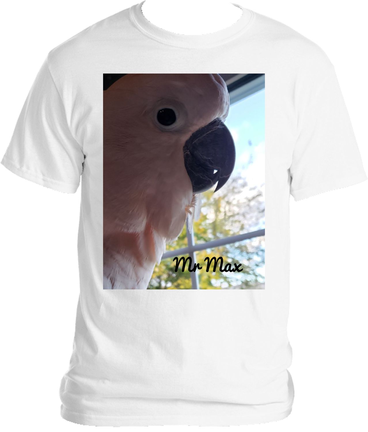 Mr Max TShirt B
