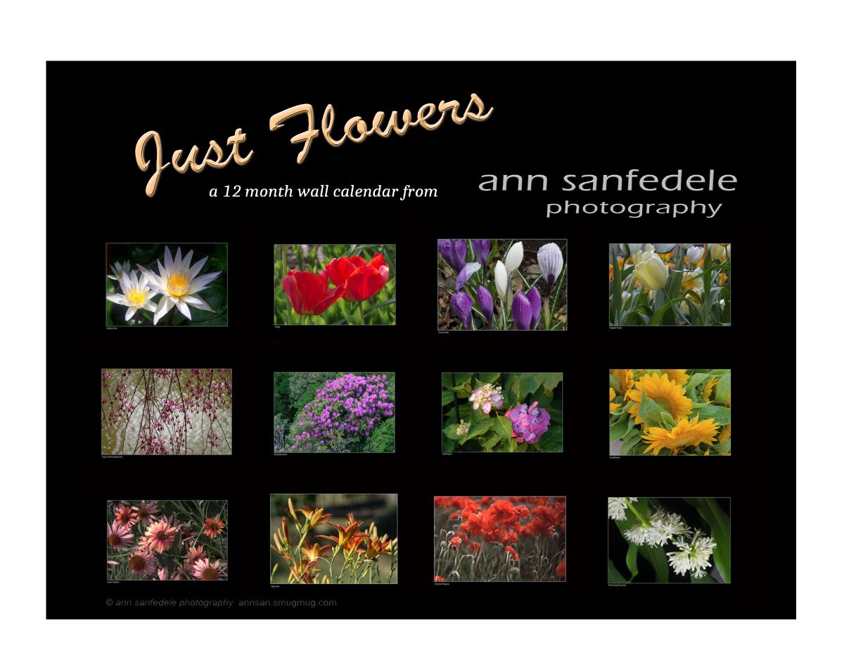 Just Flowers - a 12 month wall calendar