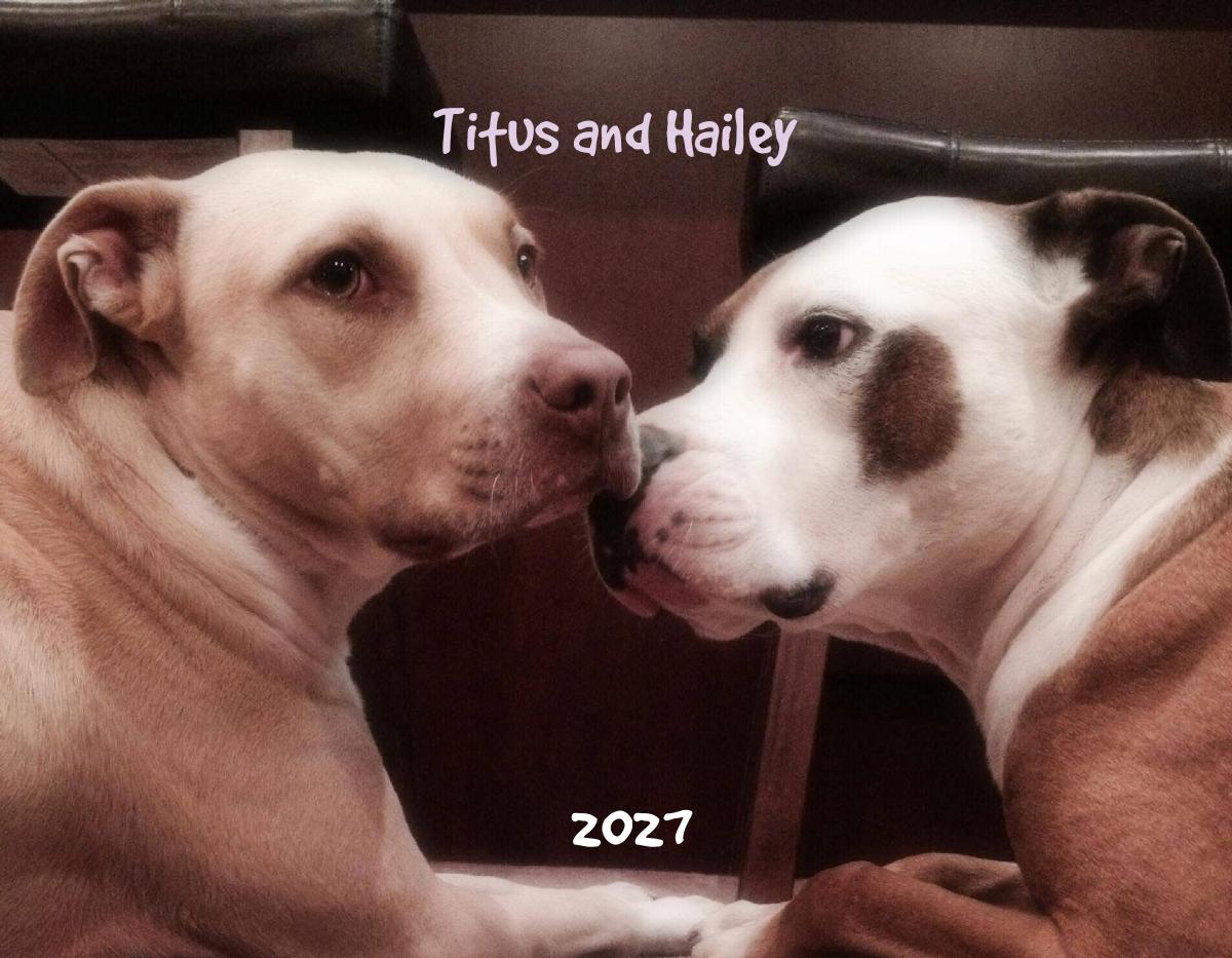 Titus and Hailey 2027