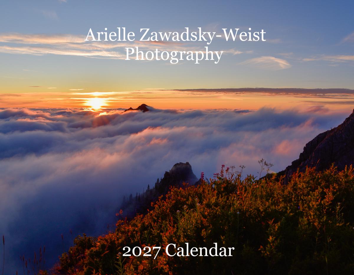 Arielle Zawadsky-Weist: 2027 Seasons of Nature