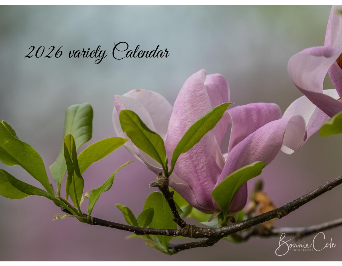 2026 Variety Calendar