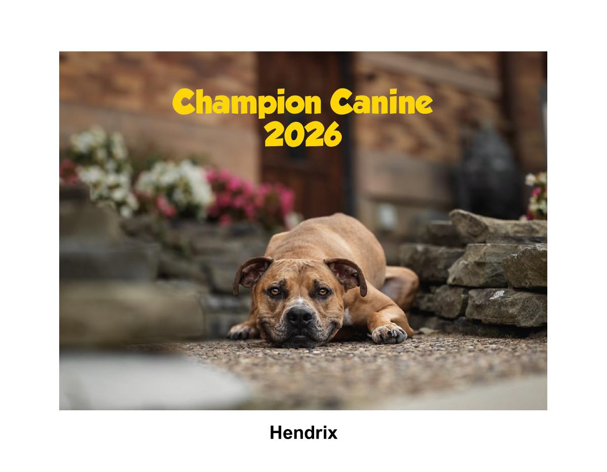 Champion Canine 2026