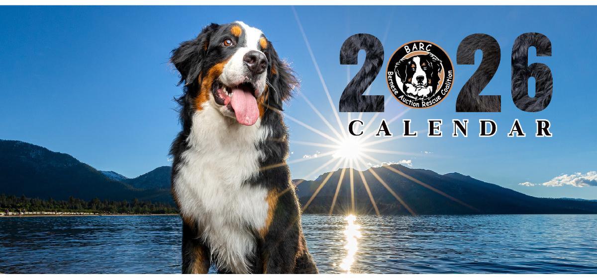 BARC 2026 Desk Calendar