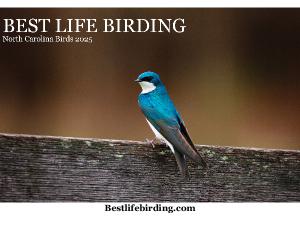 Best Life Birding North Carolina Birds 2025