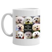 Bichon Frise Rescue of Northern NJ Mug