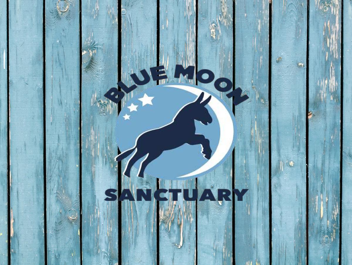 Blue Moon 2025 calendar