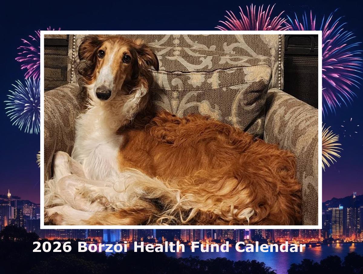 2026 Borzoi Health Fund Calendar