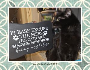 Asshole Cats 2025