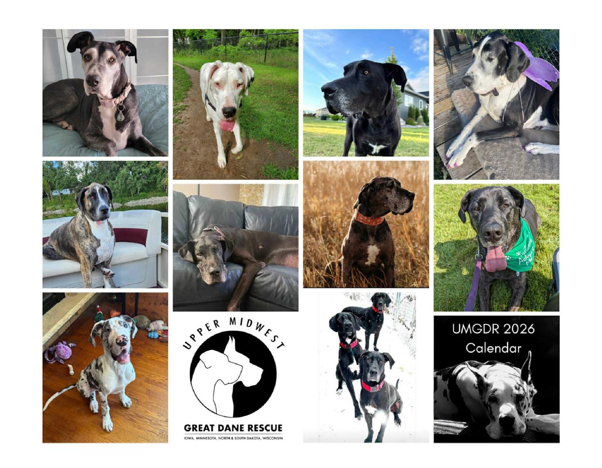 2026 UMGDR and Friends Calendar