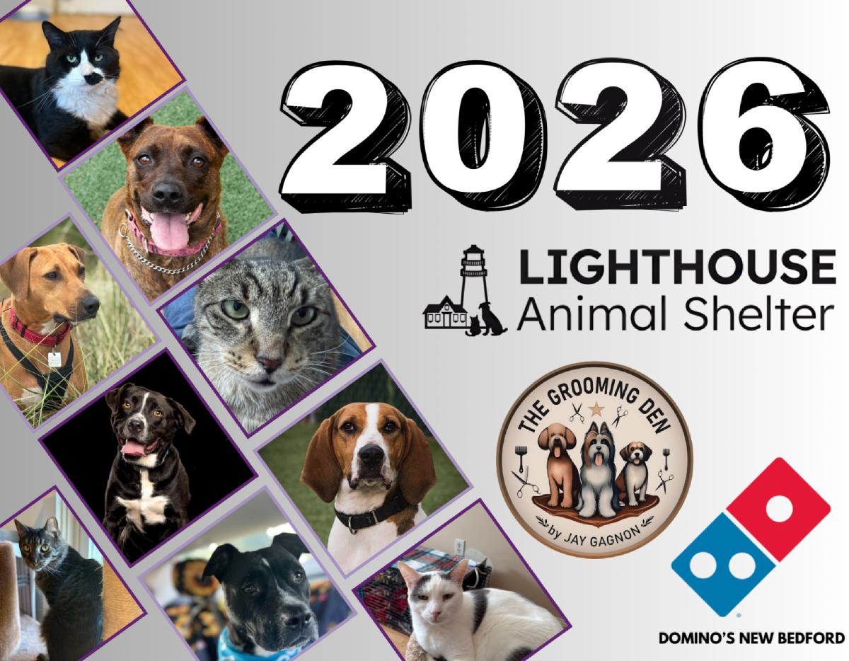 Lighthouse Animal Shelter 2026 Calendar