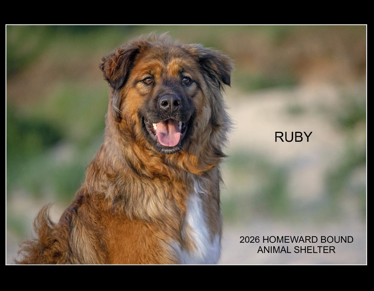 2026 Homeward Bound Animal Shelter Calendar