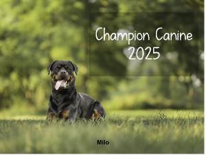 2025 Champion Canine
