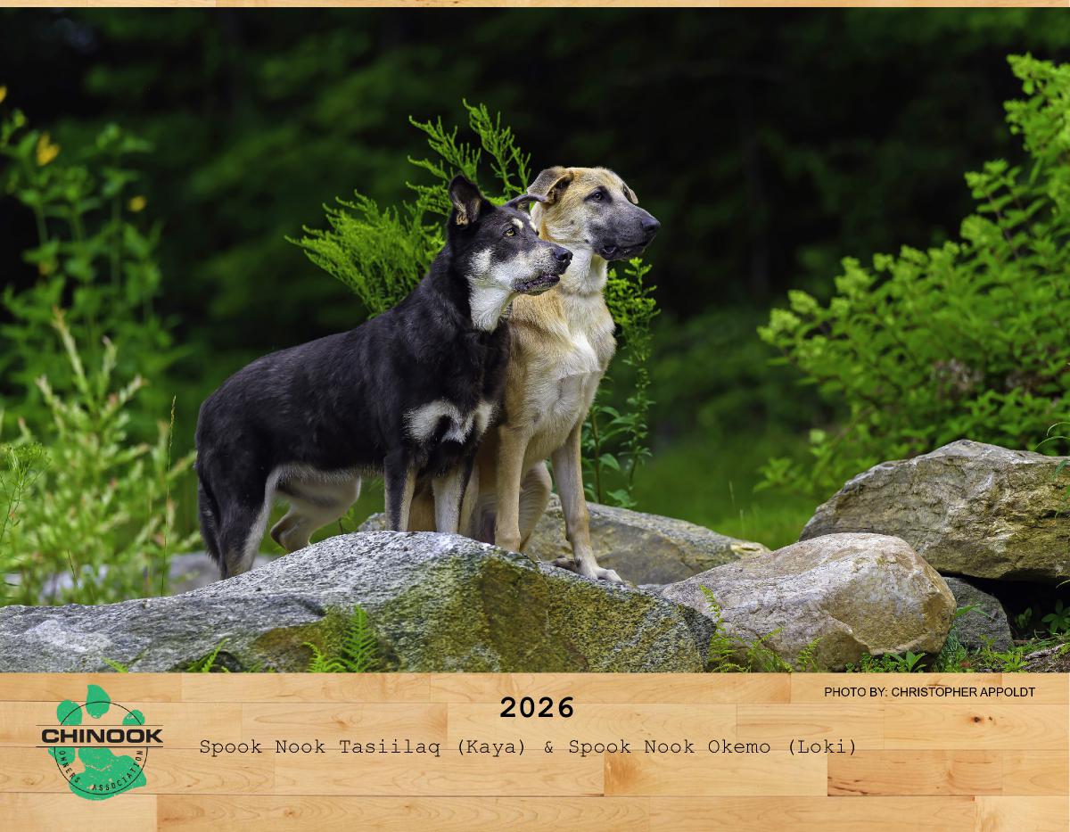 2026 COA Chinook Dog Calendar
