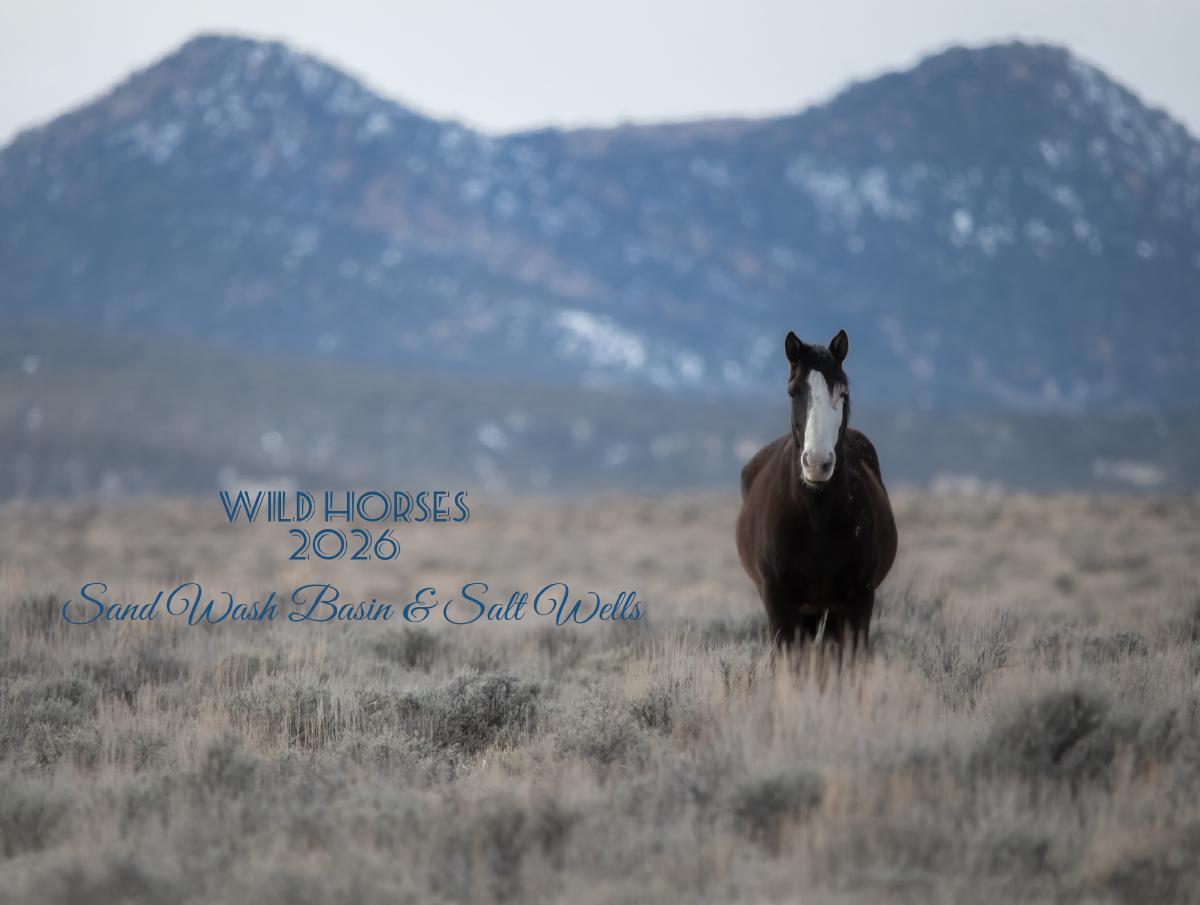 Wild & Free 2026