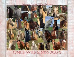 Once Wild & Free 2026