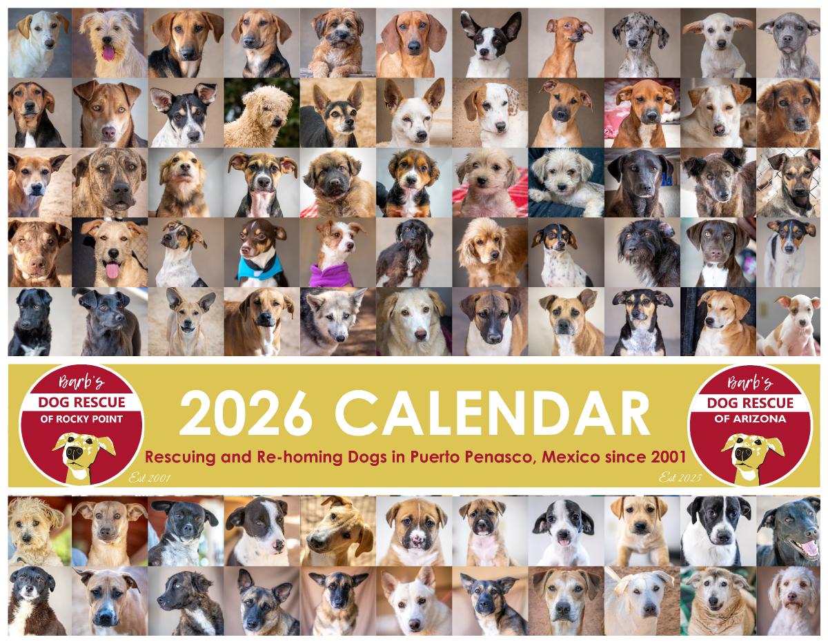 Barb's Dog Rescue 2026 Calendar