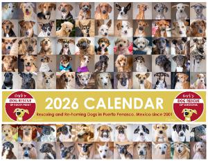 Barb's Dog Rescue 2026 Calendar