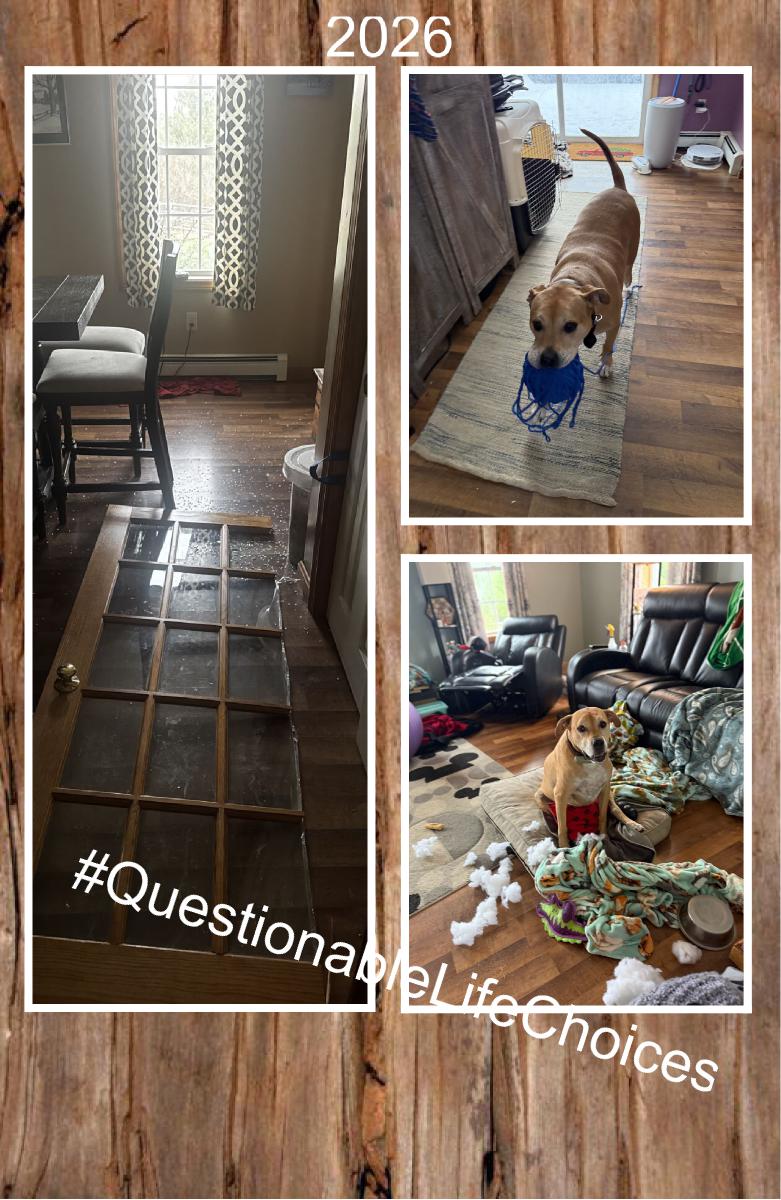 2026 #questionablelifechoices notebook