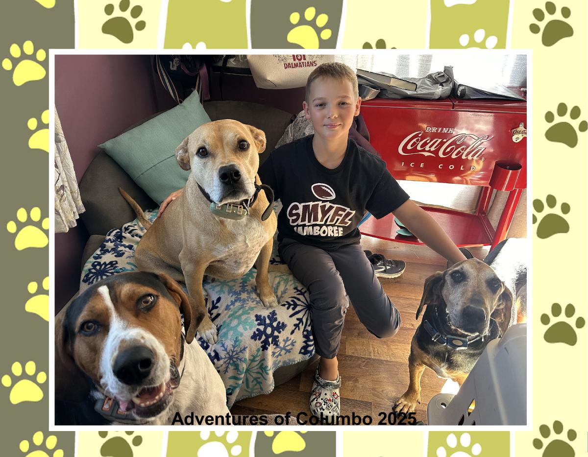 2025 Adventures of Columbo Calendar