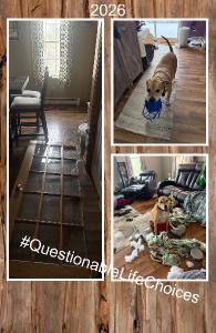 2026 #questionablelifechoices notebook