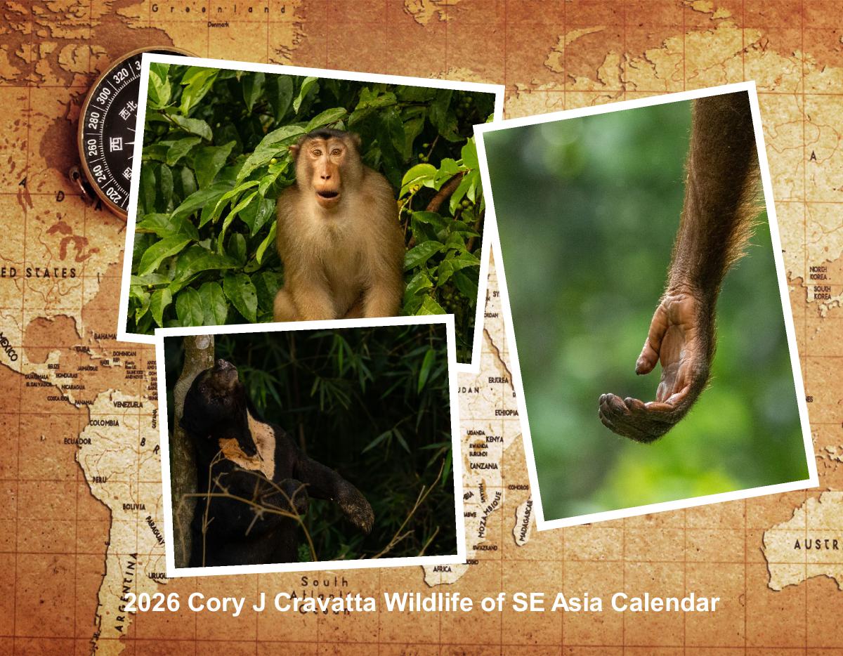 2026 Wildlife of SE Asia Calendar