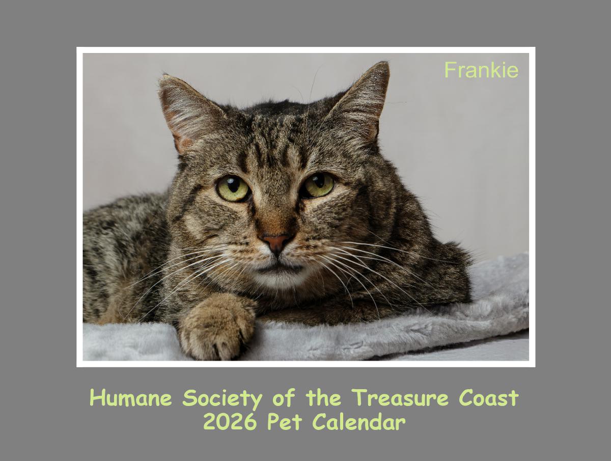 HSTC Pet Calendar 2026
