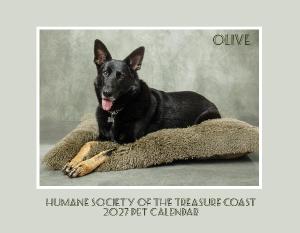 HSTC 2027 Pet Calendar