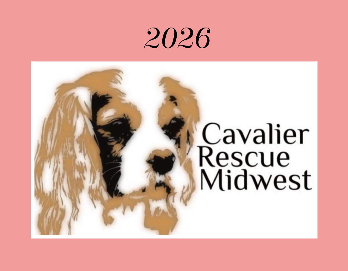 2026 Cavalier Rescue Calendar
