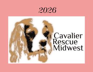 2026 Cavalier Rescue Calendar