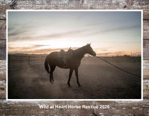 Wild at Heart 2026 Calendar
