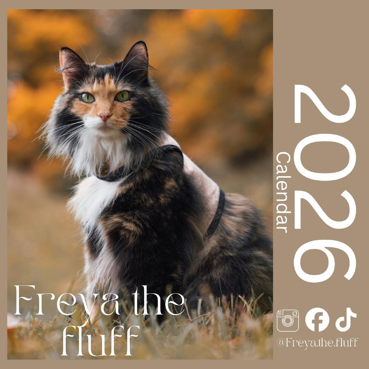 Freya and Valkyrie's Outdoors Adventure