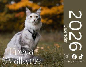 Freya and Valkyrie small