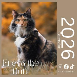 Freya and Valkyrie's Outdoors Adventure