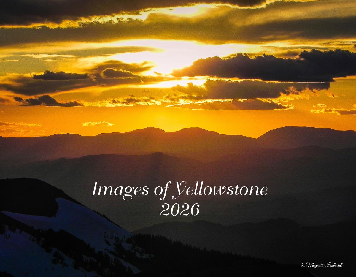 Images of Yellowstone