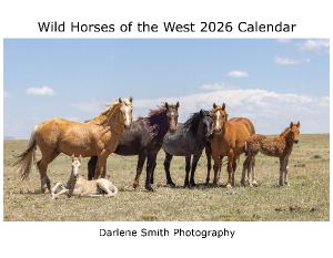 Wild Horses of the West 2026 Calendar