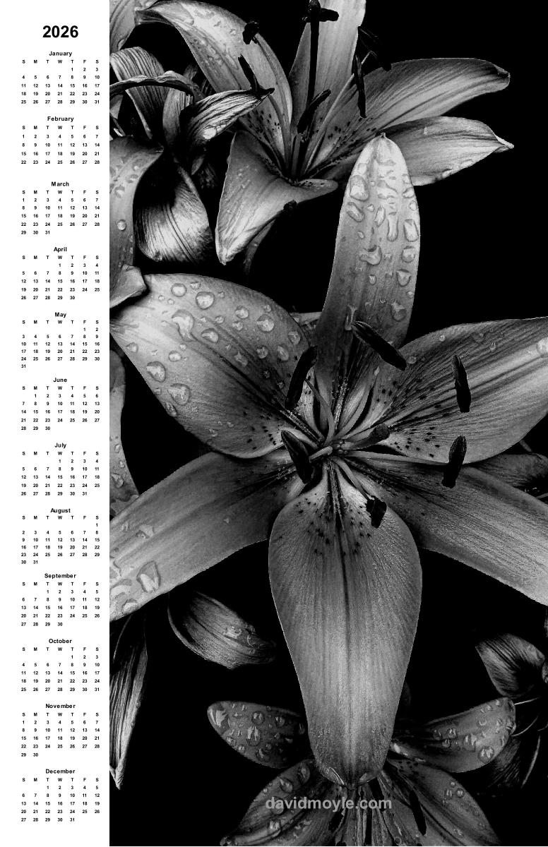 Black and White Lilies Calendar