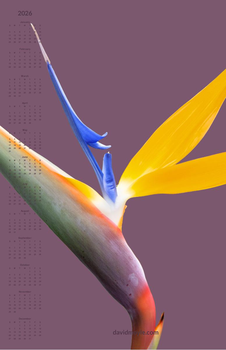 Bird of Paradise Poster Calendar