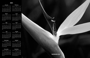 Abstract Bird of Paradise Poster Calendar
