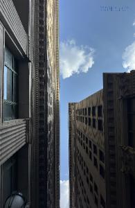 Philly Architecture Notebook