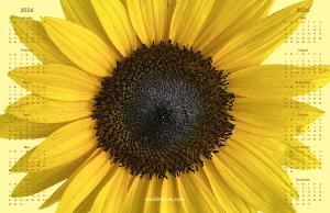 Sunflower on Yellow Poster Calendar