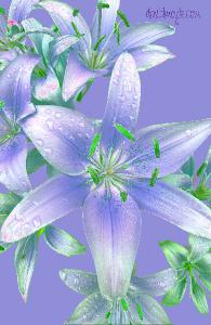 Purple Asiatic Lilies Notebook