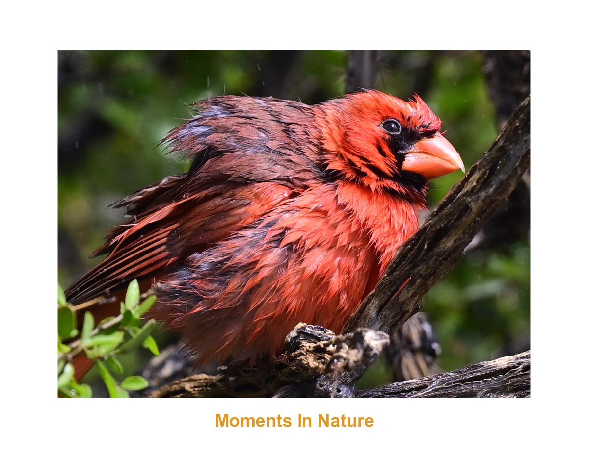 Moments In Nature By Dawn Avalon